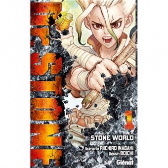 Dr Stone tome 01